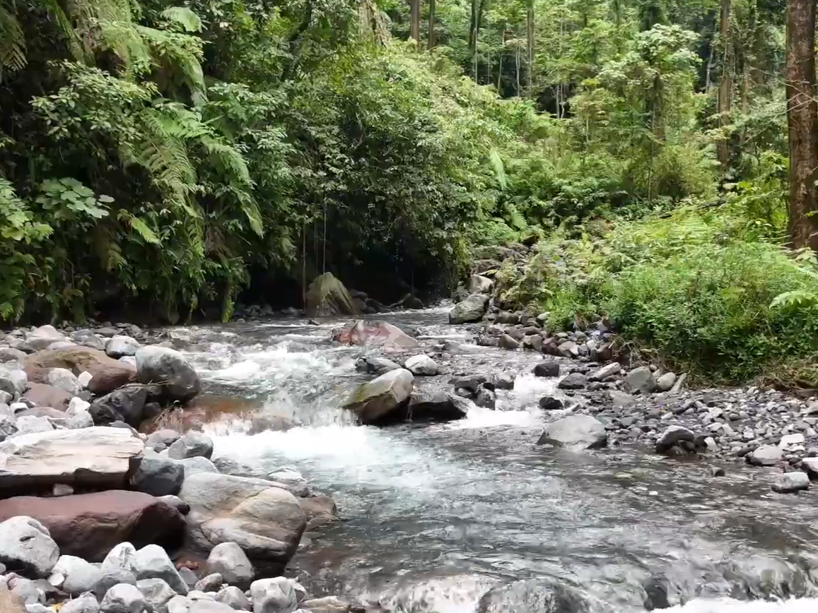 流動的農村生命