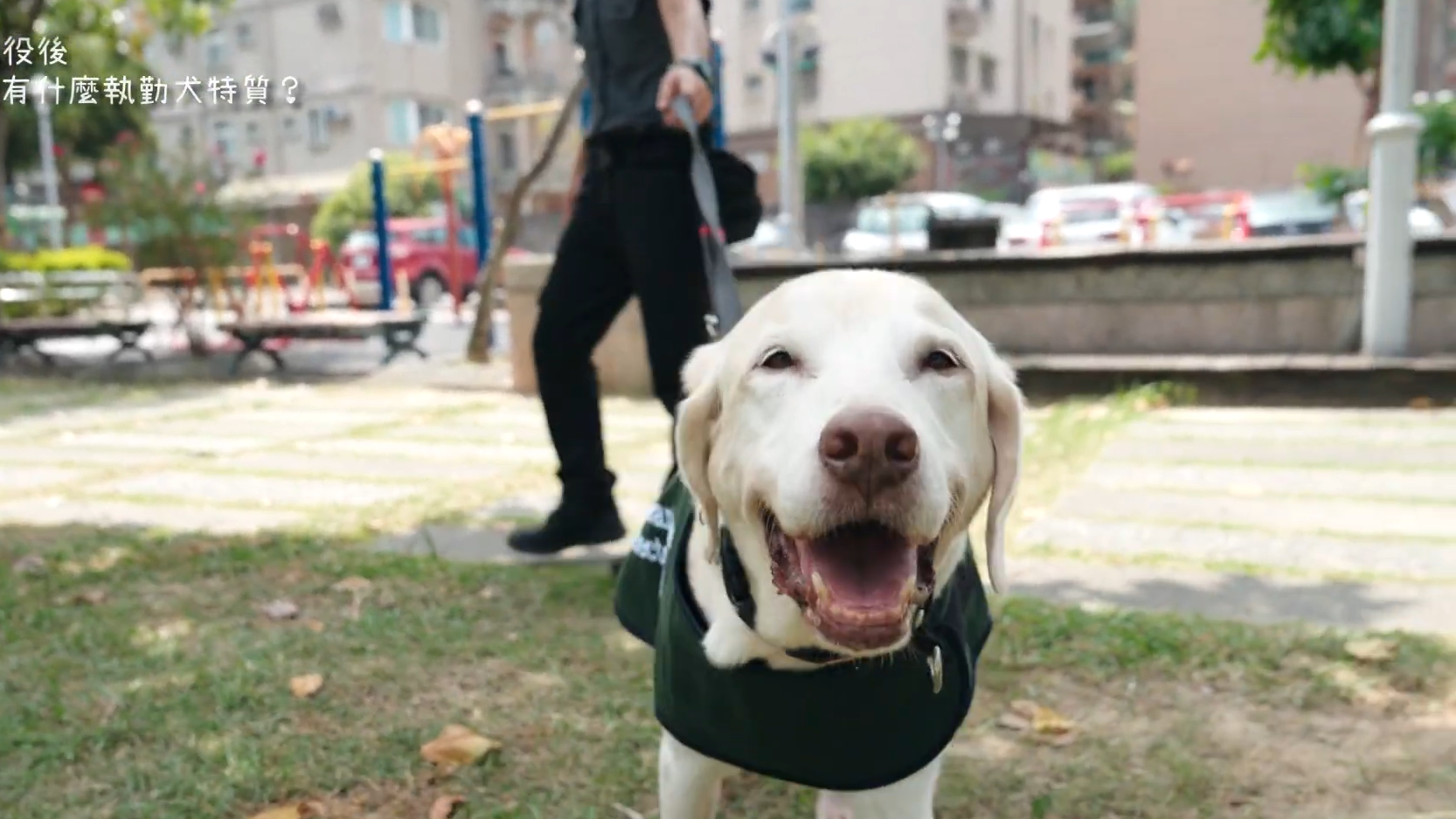 防疫最前線：檢疫犬與領犬員的守護任務